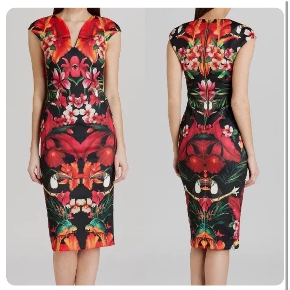 Gorgeous BNWT ted baker toucan dress
